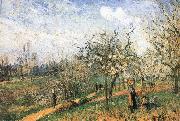 Camille Pissarro Pang map of apple Schwarz oil on canvas